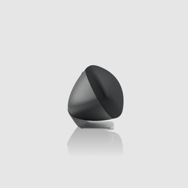 Bowers & Wilkins Zeppelin Pro Edition