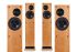 ProAc Response D20
